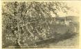 1928