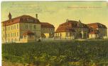 1910