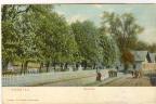Cesta za šraňkama směrem  k lesoparku 1913