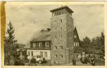 1954